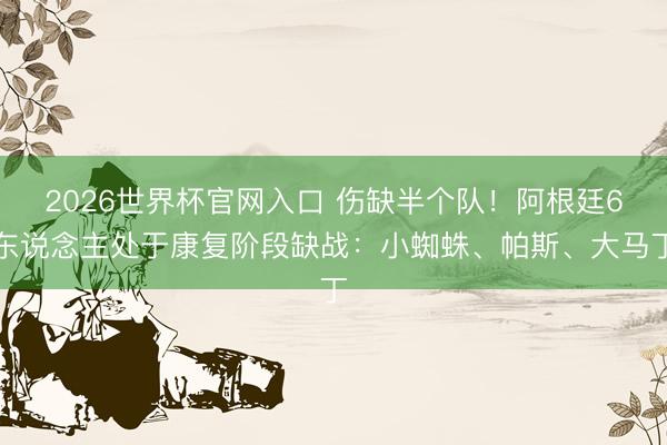 2026世界杯官网入口 伤缺半个队！阿根廷6东说念主处于康复阶段缺战：小蜘蛛、帕斯、大马丁