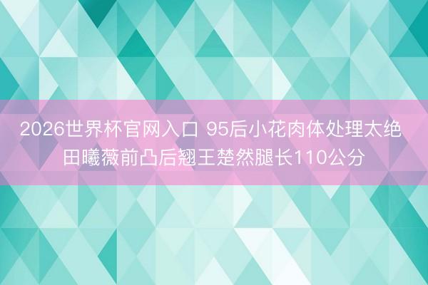 2026世界杯官网入口 95后小花肉体处理太绝 田曦薇前凸后翘王楚然腿长110公分