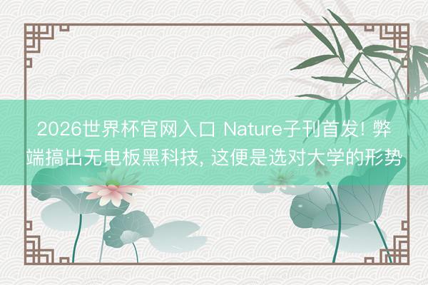 2026世界杯官网入口 Nature子刊首发! 弊端搞出无电板黑科技， 这便是选对大学的形势