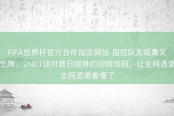 FIFA世界杯官方合作指定网站 指控队友吸毒又手写信乞降，2NE1这对昔日姐妹的回转戏码，让全网透澈看懵了